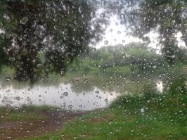 вот такое хреновое лето .