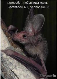 Вампиры в реальной жизни