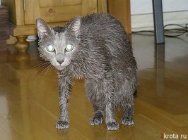 высохну и ̶н̶а̶с̶р̶у̶/̶н̶а̶с̶с̶у̶ ̶т̶е̶б̶е̶ ̶в̶ ̶т̶а̶п̶о̶к̶/̶б̶о̶т̶и̶н̶о̶к̶! отомщу!