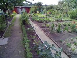 И пост - полный бред, и некоторые комментарии, от якобы знающих людей, тоже неправильные.

Главное - в каждой земле (Германия делится на земли)свои правила для "ДАЧНИКОВ" В кавычки взял для того, чтобы объяснить различия. Существует два вида: Садовые товарищества и дома по типу вилл для отдыха. В первых - действительно люди сажают фрукты-овощи. Домики не более 24кв.м. Ночевать там запрещено! В некоторых товариществах нет электричества! Деревья - практически любые (пишу о своей земле).
Во вторых - размеры дома не ограничены, деревья и фрукты-овощи тоже, только вот владельцам этих домов это не нужно. (кстати в первом варианте многие урожай собирают в ... компостную яму!) 
Из-за позднего времени заканчиваю. С радостью отвечу на вопросы.
На фото - моя "дача по первому типу"