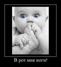 Во все тяжкие с Девидом Блейном