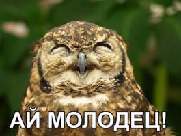 Музыканта попросили сыграть на похоронах  