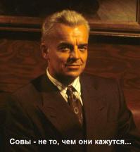 Совы - воистину удивительные создания