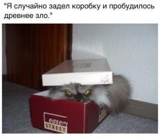 Картинки со смешными подписями