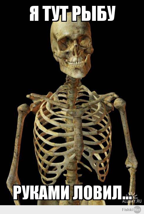 Подборка видео от 06.02.2014