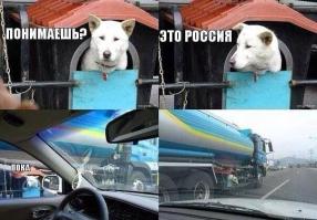 Сочинское такси