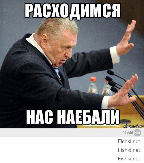  Найди кота на фото