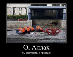 Ничего делать не умеете!