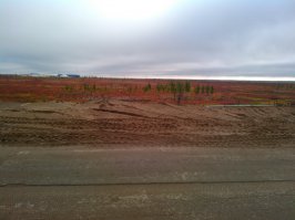 Красота севера, добавляю=)