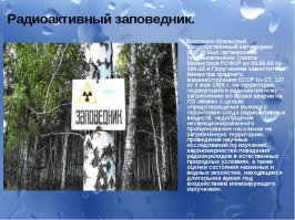 Есть и такие заповедники, к сожалению.