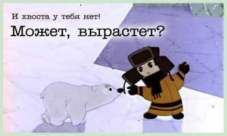  Интересные факты из жизни полярных медведей