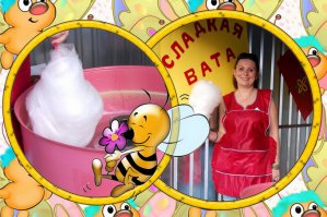 Наталья Поклонская записала новогоднее обращение к россиянам