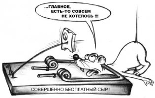 Мышеловка на даче