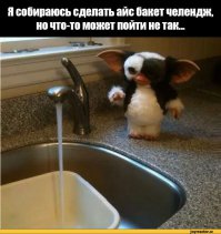 Предновогодняя, паранормальная история