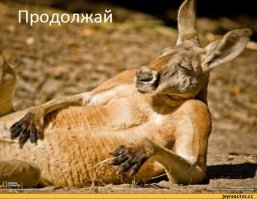 А вы знали, что...