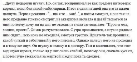 Вспомнился старый баян :)