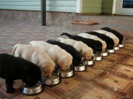 Любителям порядка посвящается… 