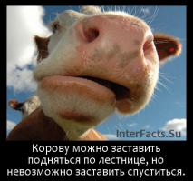 18 изображений, которые вас удивят
