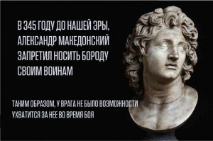 ну хоть какая то дельная мысль, на счёт бороды, точнее в пользу её отсутствия