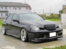 ну вероссы точно там нет, а вот насчёт кресты хз, они  с марковником как близнецы...

фото 1.веросса остальные креста