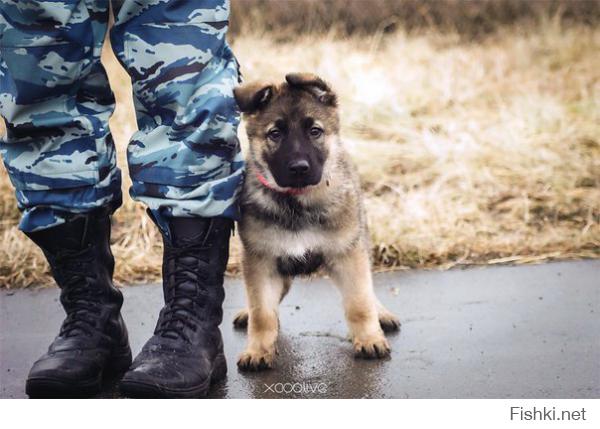 Первый день на службе