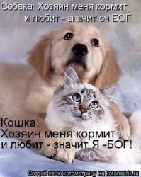 Типично кошачье поведение: сделаешь ему добро - сядет на голову :)