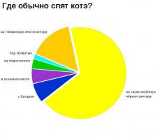 *Если кот черный, то на светлом свитере:)