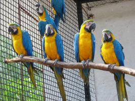 Угадайте страну