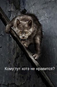 Злюки-коты 