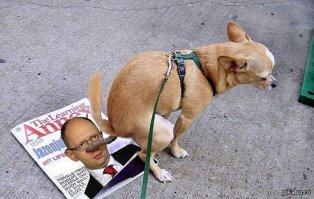 Подборка политического юмора