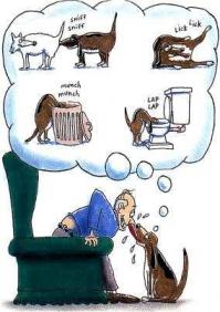 Без собак и жизнь не та!