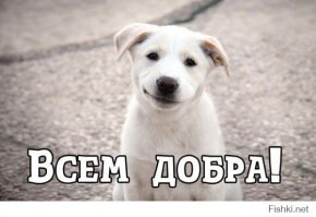 Знакомство!)