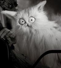 Котоспиритизм