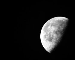 Вот это вещь Canon EF 600mm f/4L IS II USM