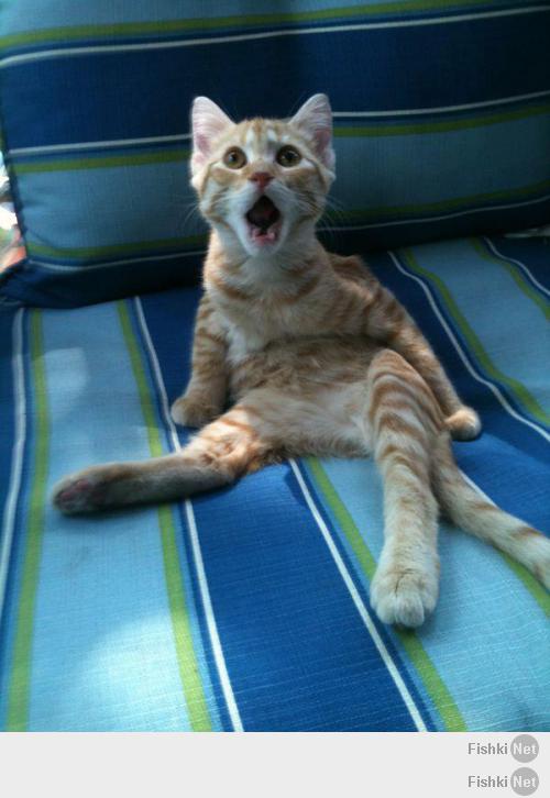 Подборка видео от 21.04.2014