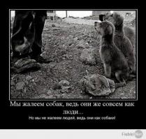 Погиб на посту: похороны офицера полиции