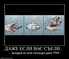 Два типа людей