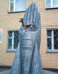 А про Лайку всегда говорили, что она первая.