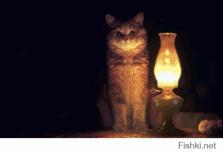 Пля, без кота ну никак!!!