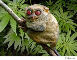 бро, ты загнался, есть хорошее обоснование и более простое решение:

 У мужчины спросили: "Какова вероятность встретить на улице DeLorean DMC-12?", -он ответил: "ну близкая к нулю наверно". Тот же самый вопрос задали женщине и она ответила: "50 на 50 - либо встретишь, либо не встретишь".