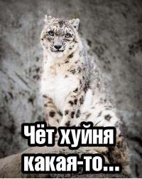 Смешные и странные выражения лиц