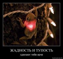 Животные с самыми странными особенностями тела 