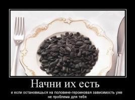 Фишкина солянка за 14.07.2014