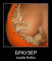 Фишкина солянка за 14.07.2014