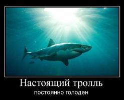 Фишкина солянка за 14.07.2014