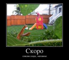 Филадельфийское гетто