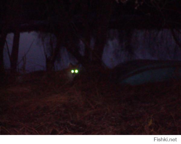 Выбирайте где глаза покрасивше)))