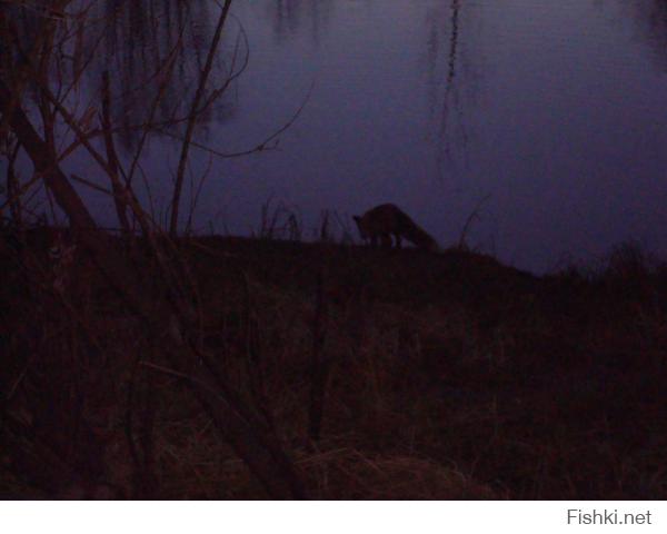 Выбирайте где глаза покрасивше)))