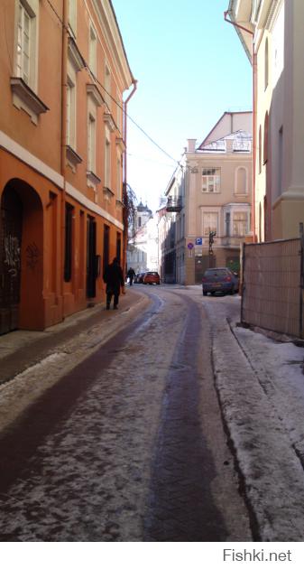 Мой город, небо, рассада, роза, кошка, моль)