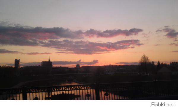 Мой город, небо, рассада, роза, кошка, моль)